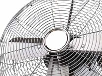 Fans