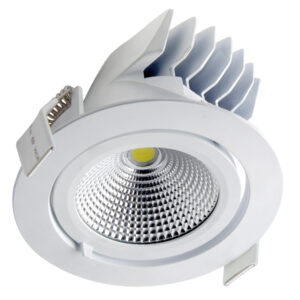 LED Snorkel Downlight - 25W - 5000K Carton Quantity: 12